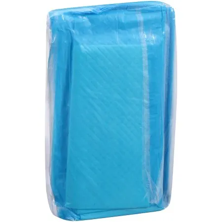 Attends Healthcare Products - UFS-170 - Attends Care Dri Sorb Disposable Underpad Attends Care Dri Sorb 17 X 24 Inch Cellulose / Polymer Heavy Absorbency