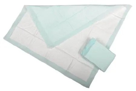 Griffin Care - Economy - 1801 - Disposable Underpad Economy 17 X 23 Inch Polymer Heavy Absorbency