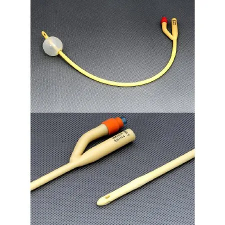 Amsino - AMSure - AS41012 - International  Foley Catheter  2 Way Standard Tip 5 cc Balloon 12 Fr. Silicone Coated Latex