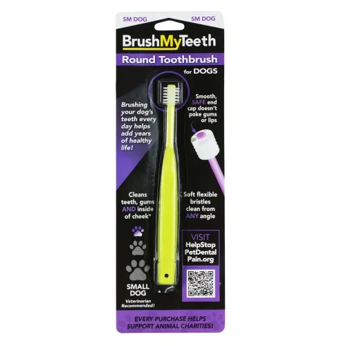 Compac Industries - From: 10600 To: 10600-24 - BrushMyTeeth Round Toothbrush
