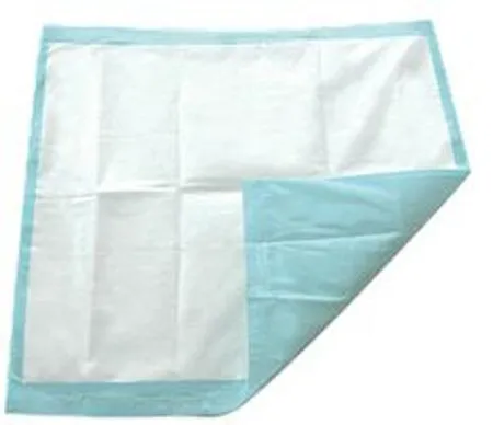 Secure - From: SP113010 To: SP115409  Personal Care Products  TotalDryDisposable Underpad TotalDry 30 X 30 Inch Loc Heavy Absorbency